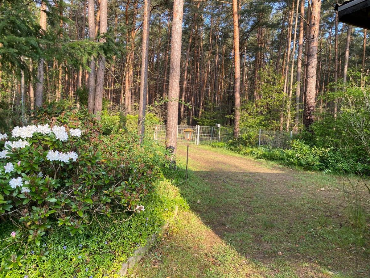 Ferienhaus Im Wald Borkwalde 외부 사진