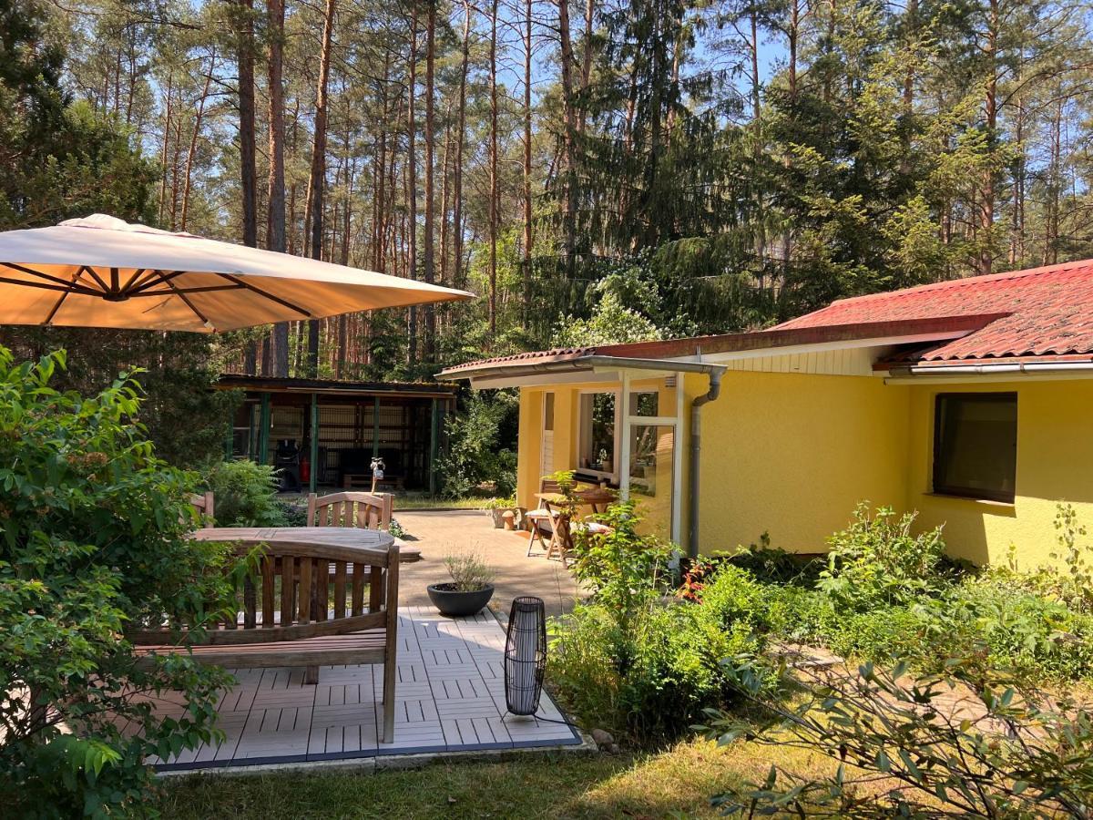 Ferienhaus Im Wald Borkwalde 외부 사진