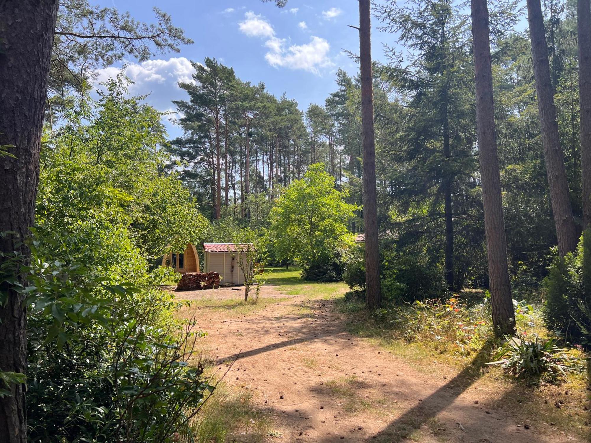 Ferienhaus Im Wald Borkwalde 외부 사진