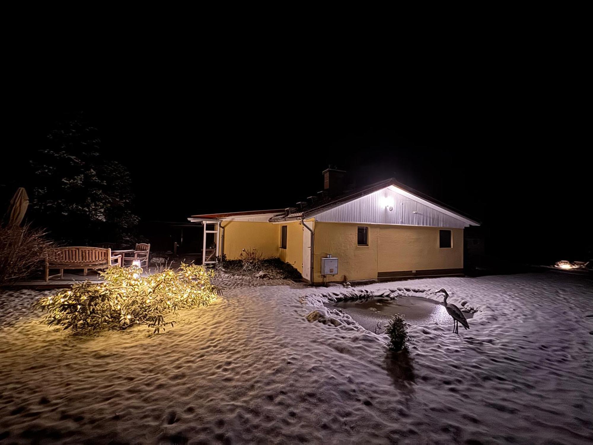 Ferienhaus Im Wald Borkwalde 외부 사진